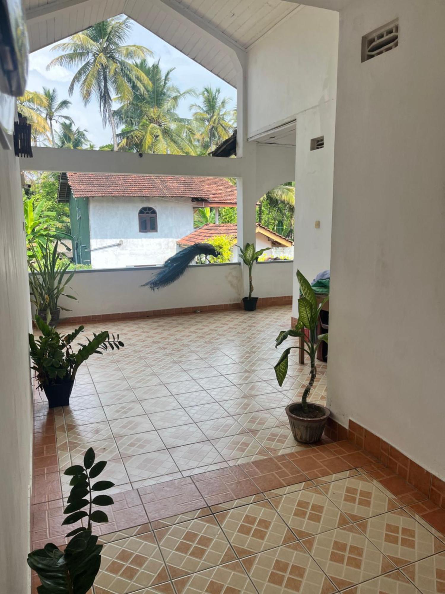 Sunny'S Garden Hotel Ambalangoda  Exterior photo